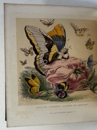 Les petits habitants des fleurs [= The little inhabitants of flowers]