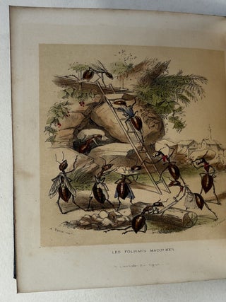 Les petits habitants des fleurs [= The little inhabitants of flowers]