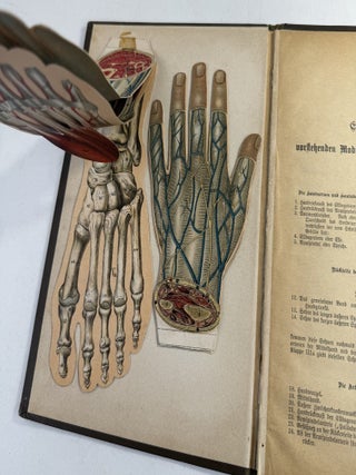 Zerlegbare Modelle zu Dr. F. K&ouml;nig's Ratgeber [= Dissectible models accompanying Dr. F. K&ouml;nig's guide]