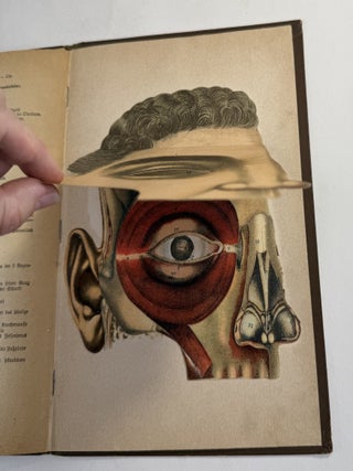 Zerlegbare Modelle zu Dr. F. K&ouml;nig's Ratgeber [= Dissectible models accompanying Dr. F. K&ouml;nig's guide]