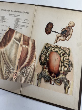 Zerlegbare Modelle zu Dr. F. K&ouml;nig's Ratgeber [= Dissectible models accompanying Dr. F. K&ouml;nig's guide]